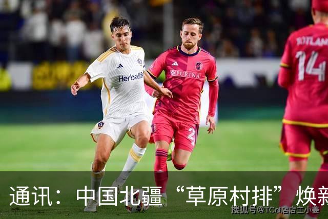 通讯：中国北疆“草原村排”焕新出圈记